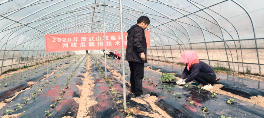 69f81ae1-31a6-4784-ad61-753c994573a3.png 69f81ae1-31a6-4784-ad61-753c994573a3.png